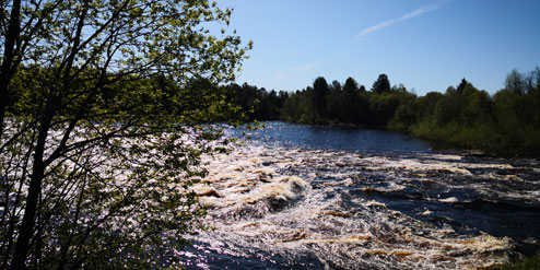 Strömsör